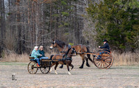 South Jersey Carriage Club