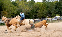 Steer Wrestling