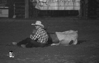 Steer Wrestling