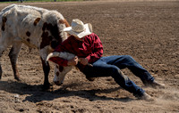Steer Wrestling / Chute Dogging
